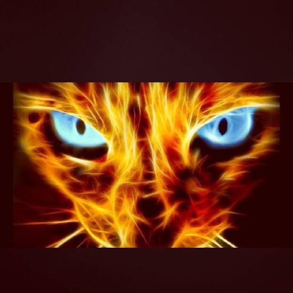 smithjayvion12
